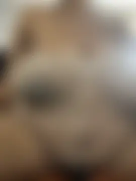 XHotJuicyBootyXX Adlı Modelin Web Kamerası Şovu