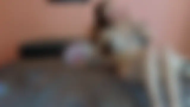 Katusha006's Live XXX Chat