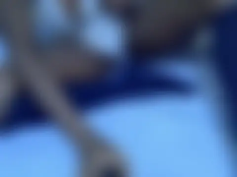 Twerl's Live Webcam Chat