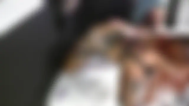 DarkVixenEnt webkamerás műsora