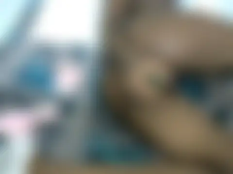 Sexxieshanty Chat XXX in diretta