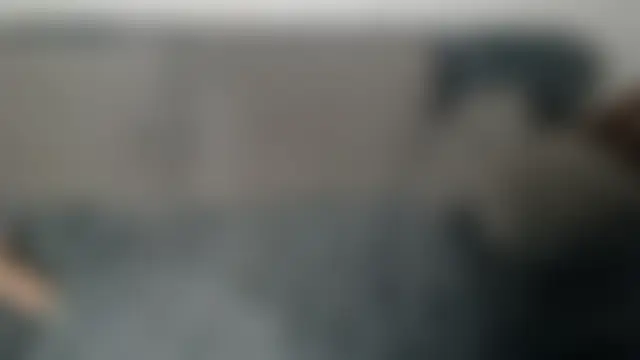 Pertunjukan Kamera Web FireFoxy80