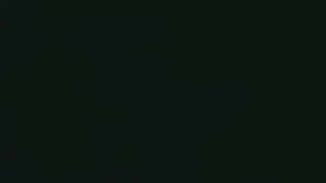 Dic_star 网络视讯表演