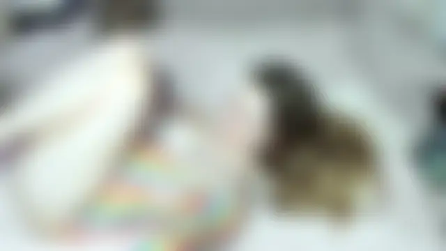 Živý XXX chat Vivian_Davis