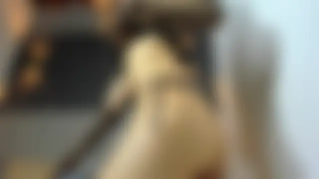 Shammy_rosse Webcam-Show