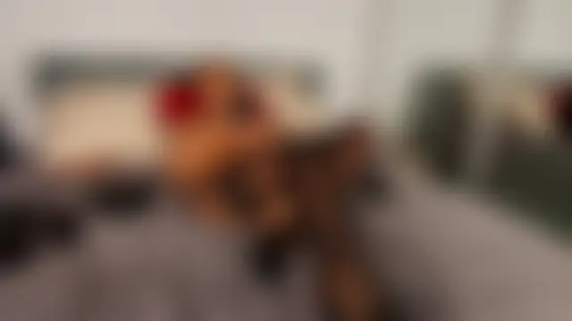 AngellyqueのライブXXXチャット