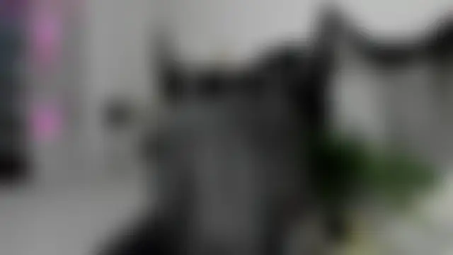 Show modela RisoSweet na web-kameri