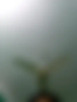 Porimoni22 Webcam-Show