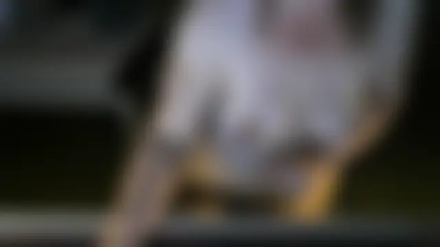 Silvia2277 live XXX chat