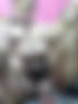 sexychutxxx7n Webbikameraesitys