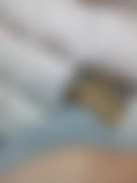 Show webcam de Beerrry