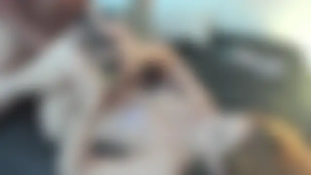 عرض كام kattyandtom2