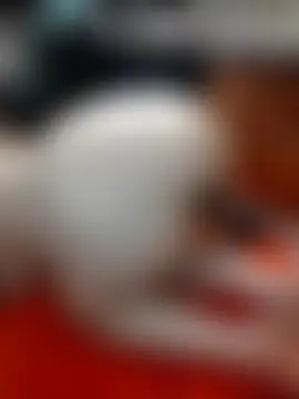 Pokazy przed kamerką – AugustRayn