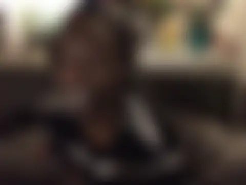 Вебкам-шоу littyleesh1