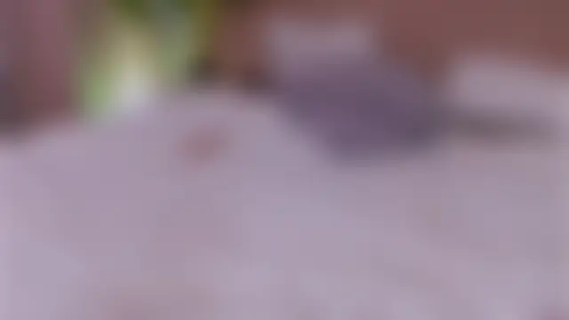 erika_moan Webcamshow