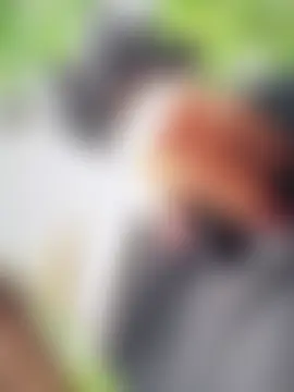 SheenaBrooke: онлайн-секс-шоу