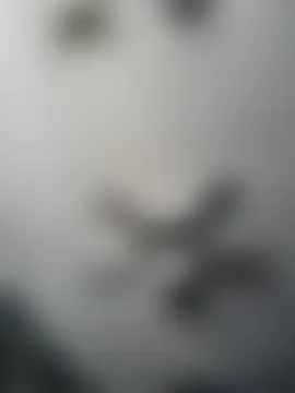 แชท XXX สดของ SexyNikki6969