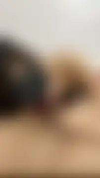 vietAnhzip's Webcam Show