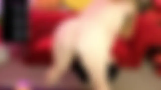 Webkamerová show Tinker_Belll