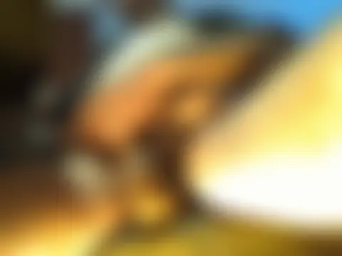 Rakastava's Webcam Show