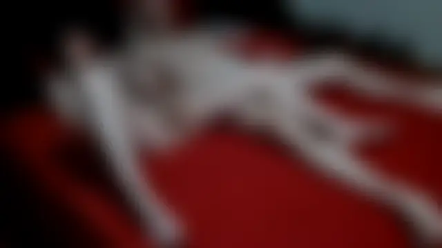 BIGBANG2026 Webcamshow