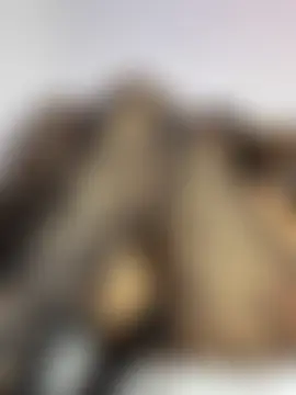 cristina1800 网络视讯表演