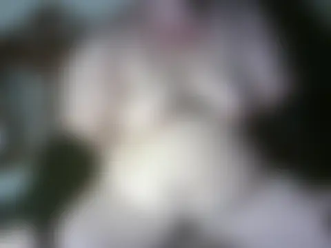 bigmommaxxx81's Live XXX Chat