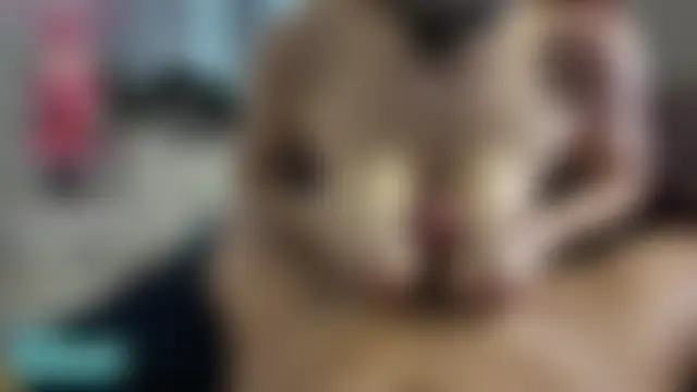 Felice_Favn 라이브 섹스 캠 쇼