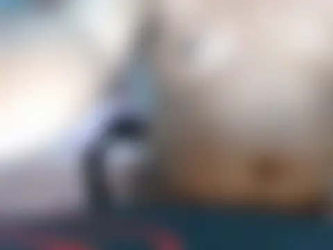 JustJakey Pertunjukan Webcam