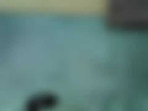 Seductive_Sage Adlı Modelin Canlı Sohbet Odası