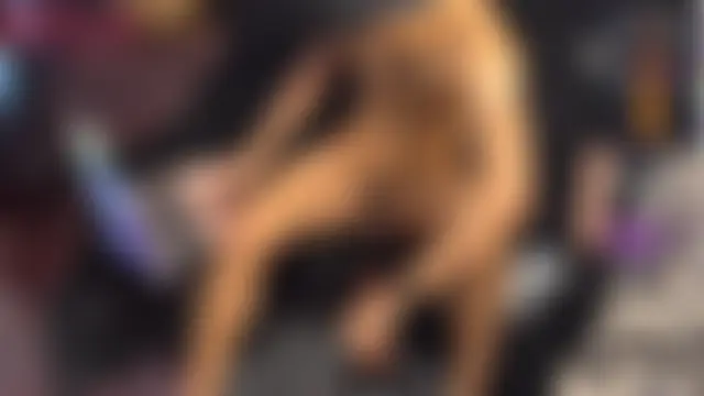 Toronto325's Live Sex Cam Show