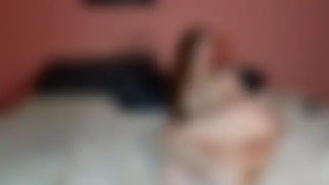 Katusha006 Ruang Obrolan Langsung