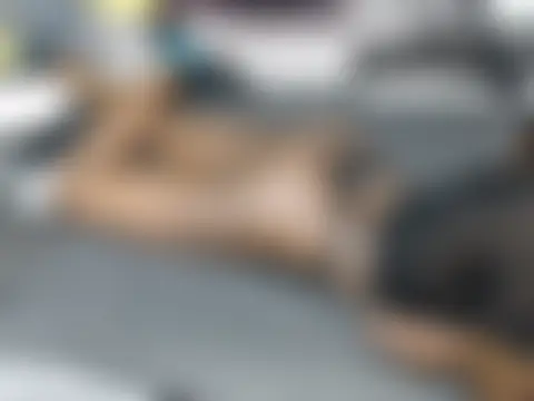 sexxylonet Adlı Modelin Canlı XXX Sohbeti