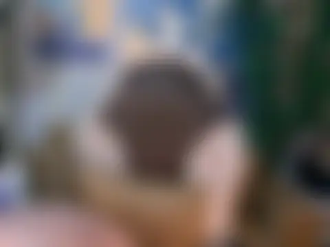 Вебкам-шоу UrSweetKatCakes