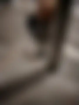 Shantey_Laurent Live Chatraum