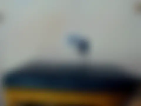 Darianna_A Webcam Show