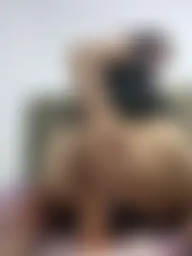 دردشة Debora9703 الجنسية المباشرة