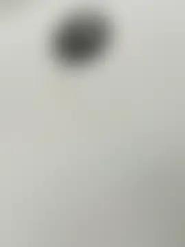 manisa_sikici45 webkamerás műsora