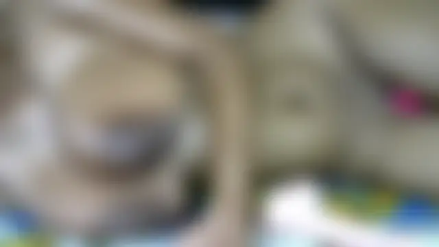 Drip_queen254 ওয়েবক্যাম শো