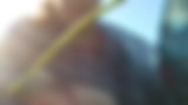 Chat XXX ao vivo de Flacara100