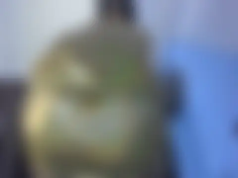 portiax élő XXX-chatje