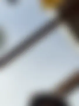 SummerHoney: διαδικτυακό σόου στην κάμερα