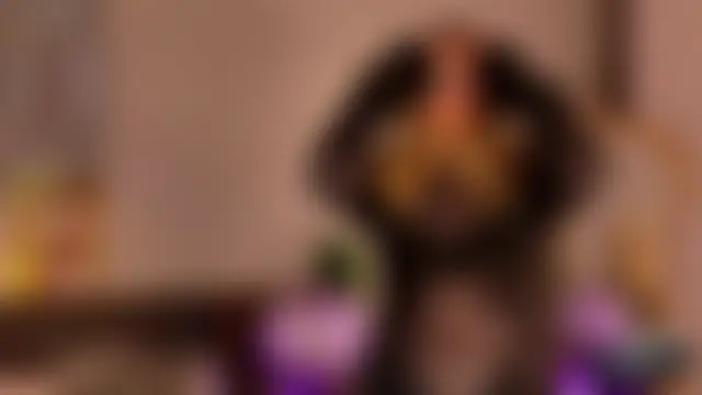 KimEvanss: вебкам-шоу