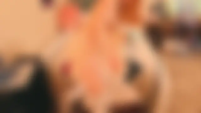 pinkocean3 Show in webcam