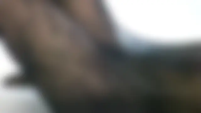 Azwo152333 webkamerás műsora