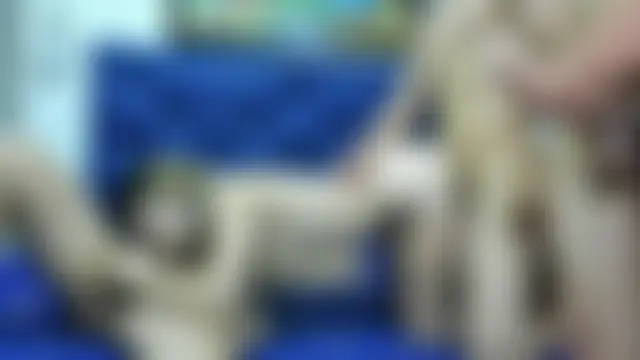 Вебкам-шоу NebetHetthreeSex