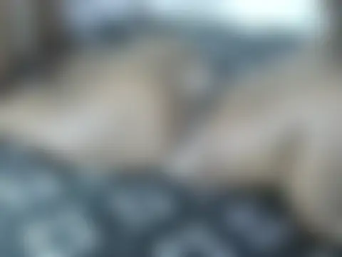 Mobbie2 在線直播表演