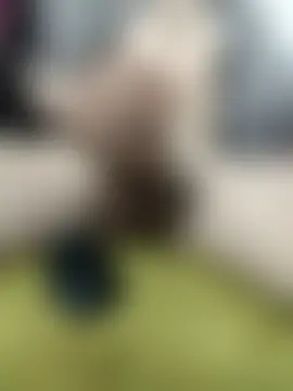 sk8-sir's Live Chat Room