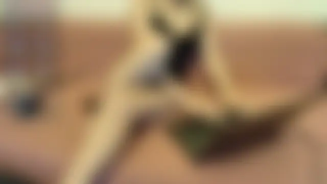 Melistanbul লাইভ চ্যাট রুম