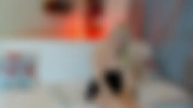 KimPollocのウェブカメラショー